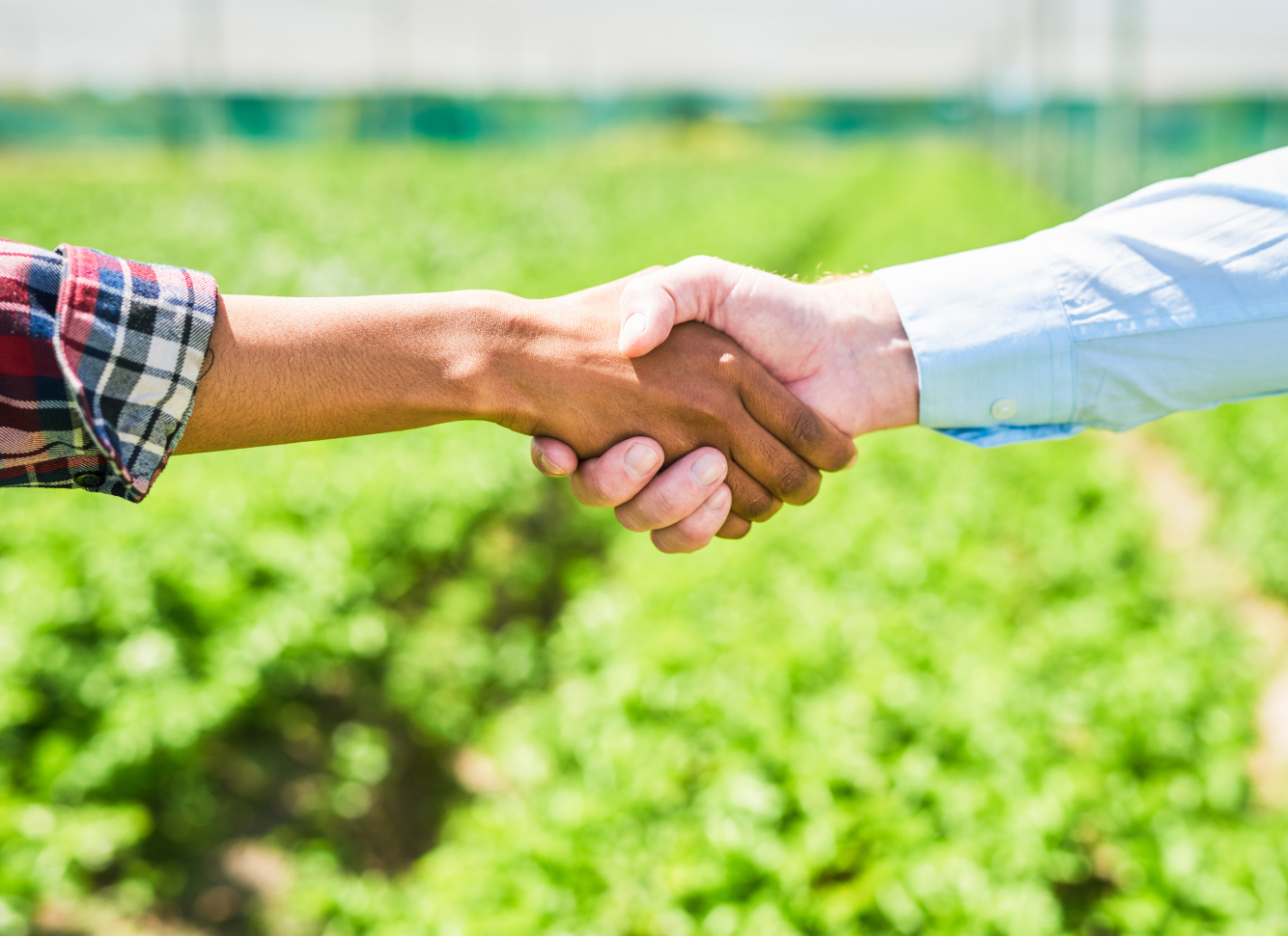 Closeup shot of handshake