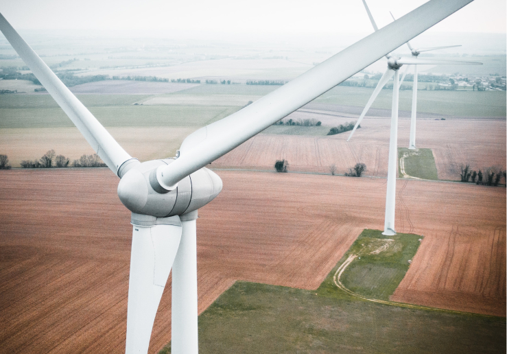 Wind turbines in field